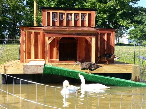 The Role of Duck Houses in Duck Hunting: When Did They Become Essential Equipment?